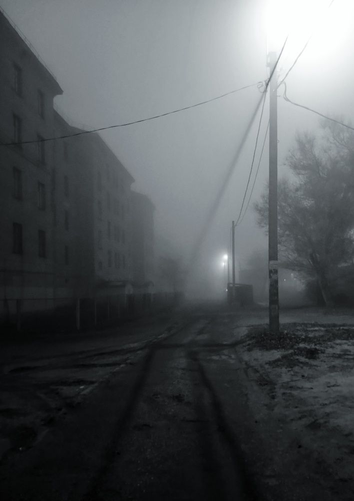 Photograph by Людмила М