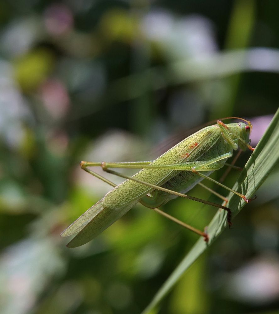 Photograph by Лена Максимкина