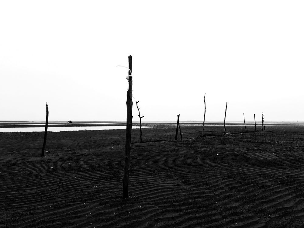 Photo #12079011