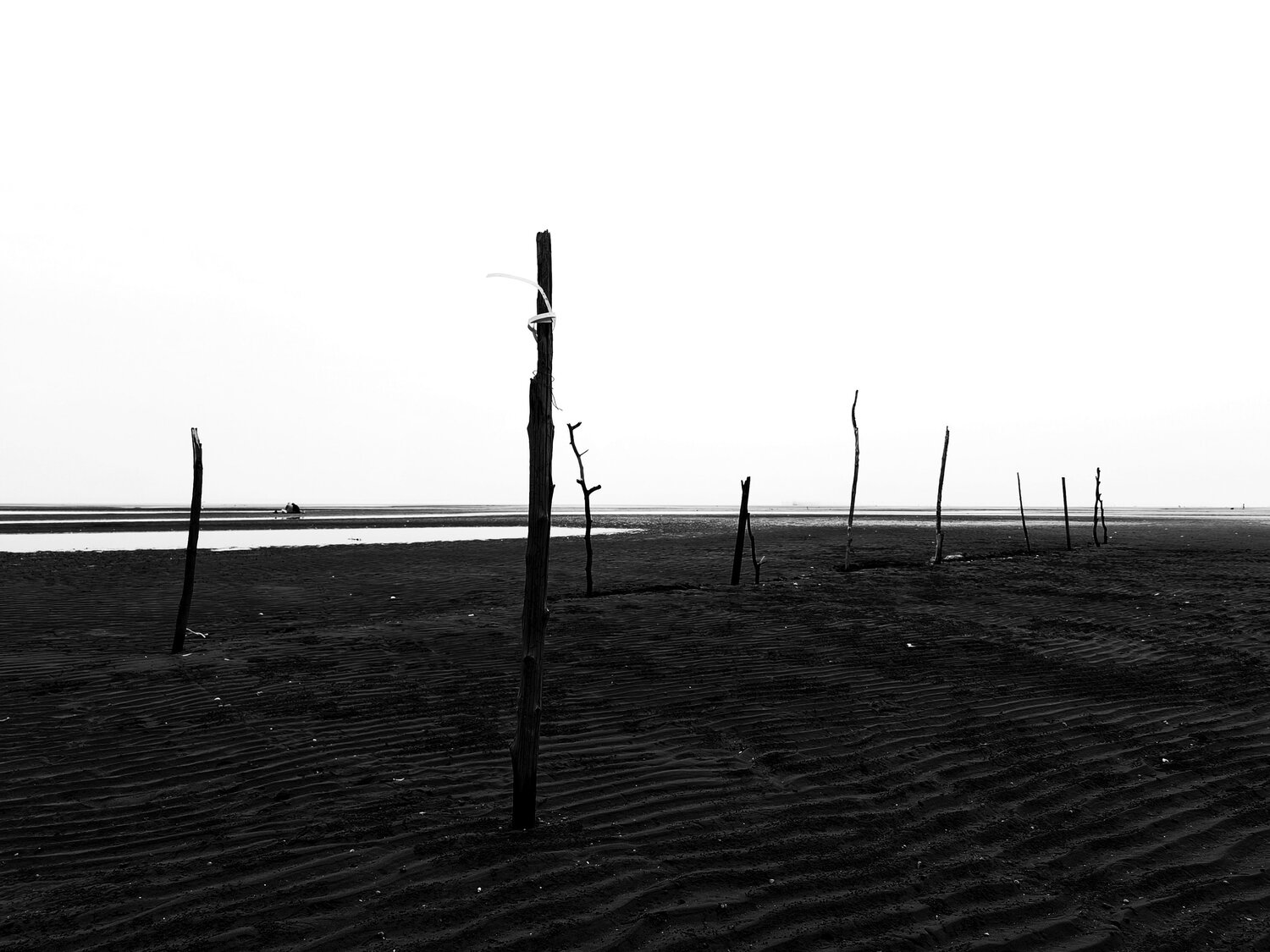 Photo #12079011