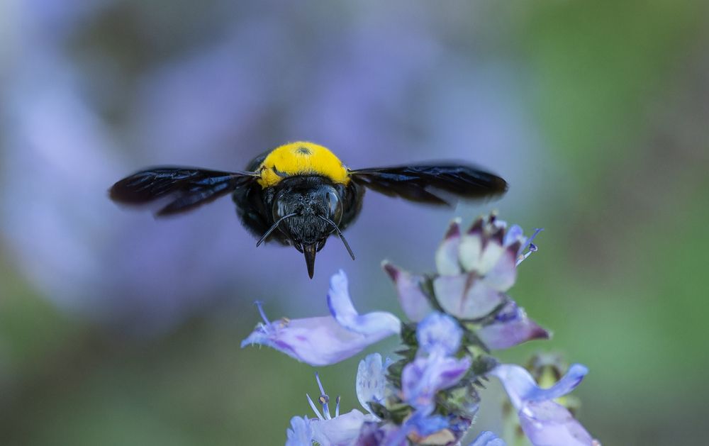 Photograph by Guy Wilson