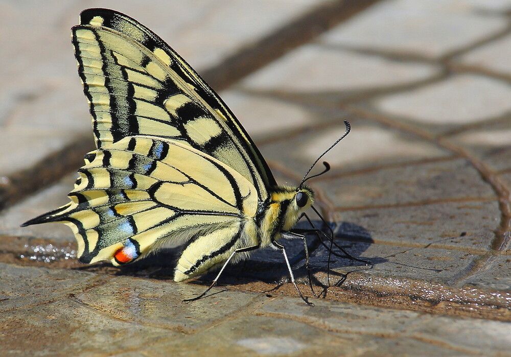 Photograph by Тамара Кремлева