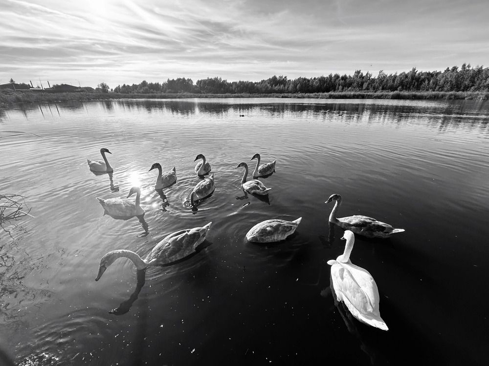Photograph by Ляйсан Мубаракова
