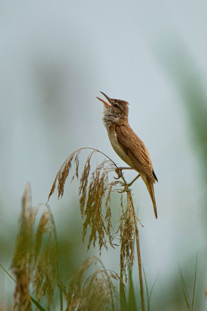 Фотография автора Анна Абрамова