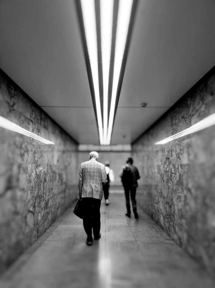Photograph by Георгий Павлов