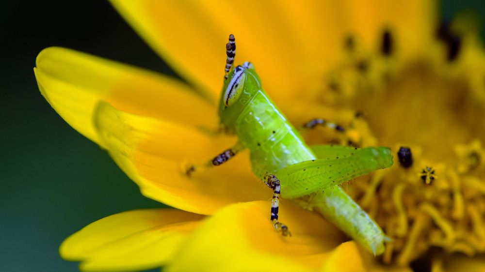 Photograph by Luiz Augusto Magina