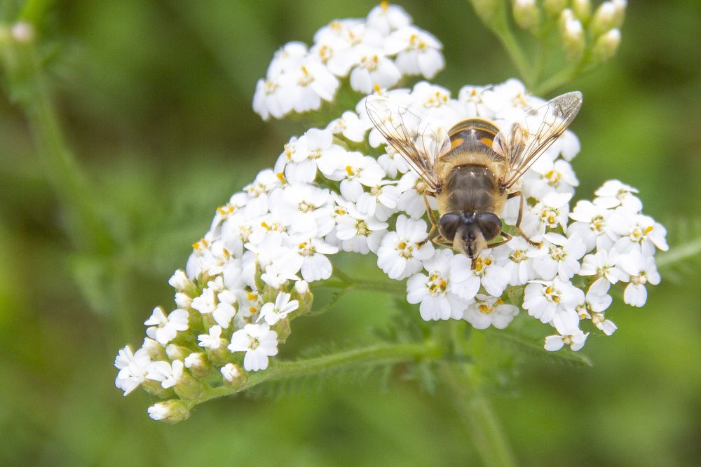 Photograph by Александр Новиков