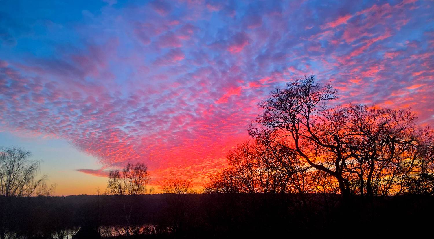 Photo #12079323
