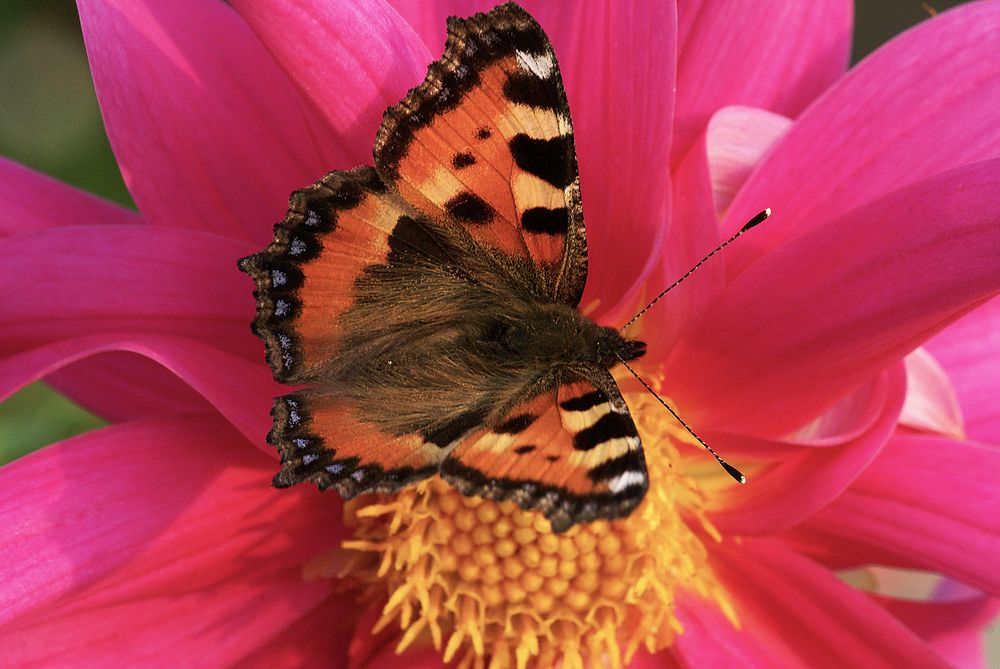 Photograph by Андрей Лукин