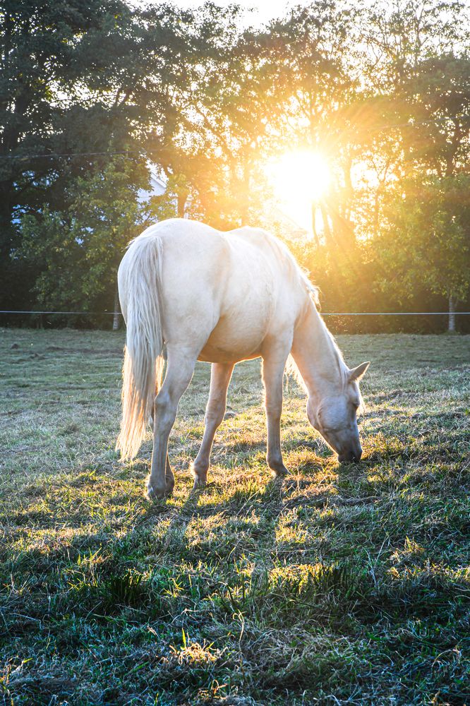 Photograph by Bohatyrov Yuri