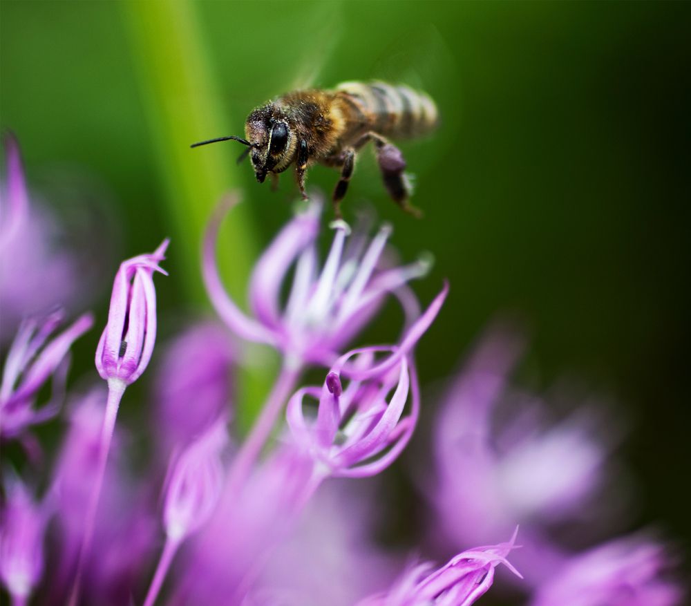 Photograph by Юлия Фомина