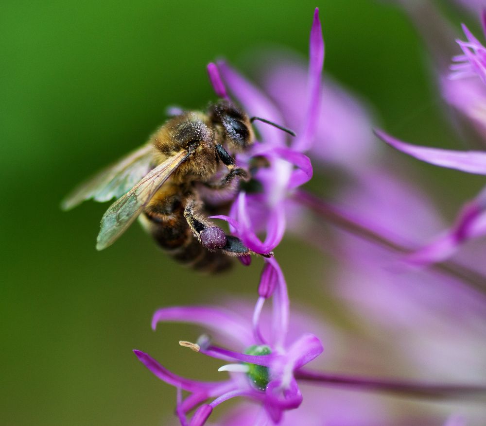 Photograph by Юлия Фомина