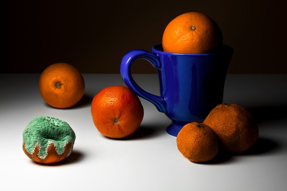 Photograph by Kveta Novotna
