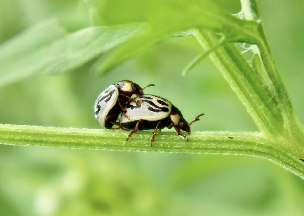 Photograph by Nitin Baste