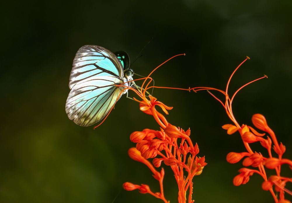Фотография автора Pham Quynh Nga
