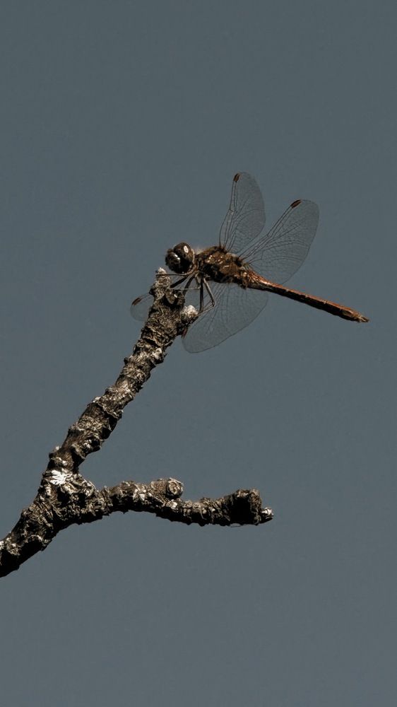 Photograph by Наталья Иванова