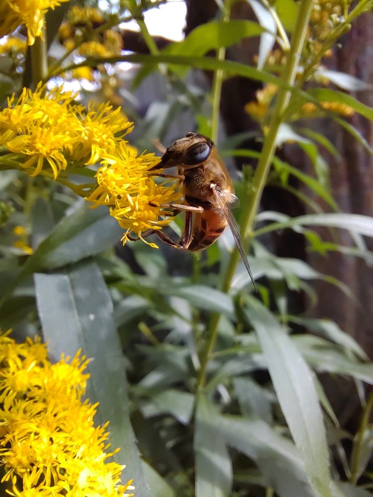 Photograph by Наталья Горовых