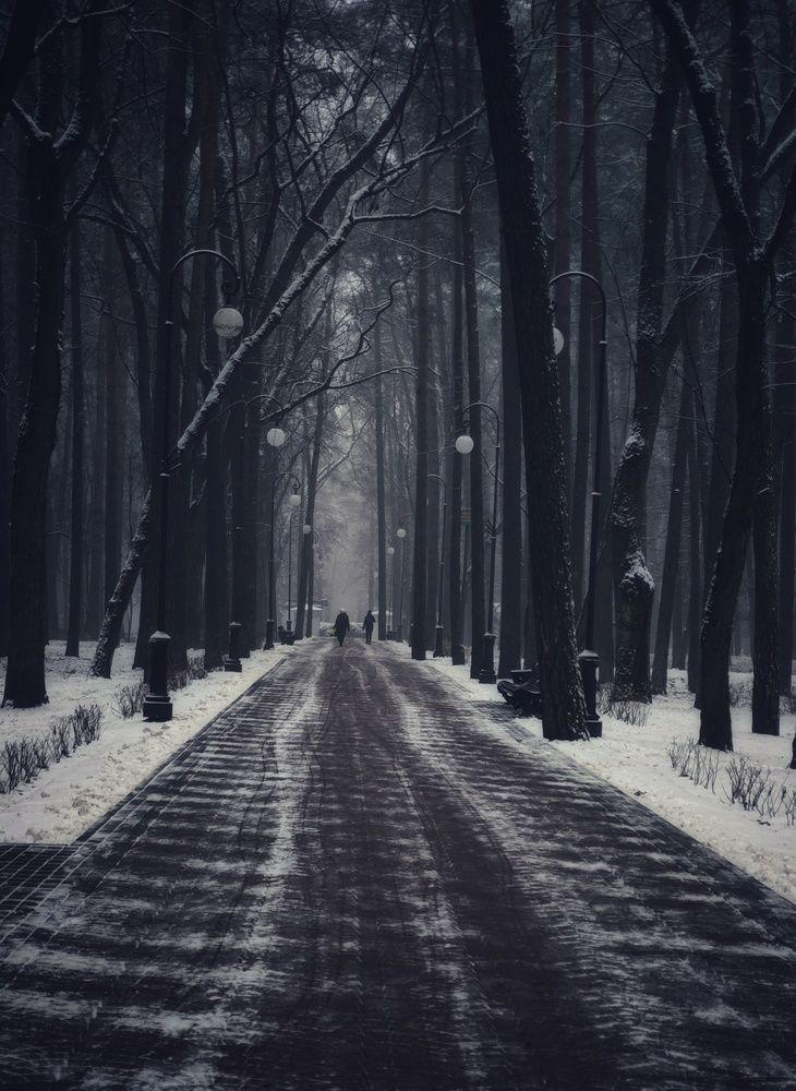Весенний парк