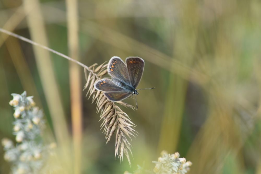Photograph by Ольга Каминская