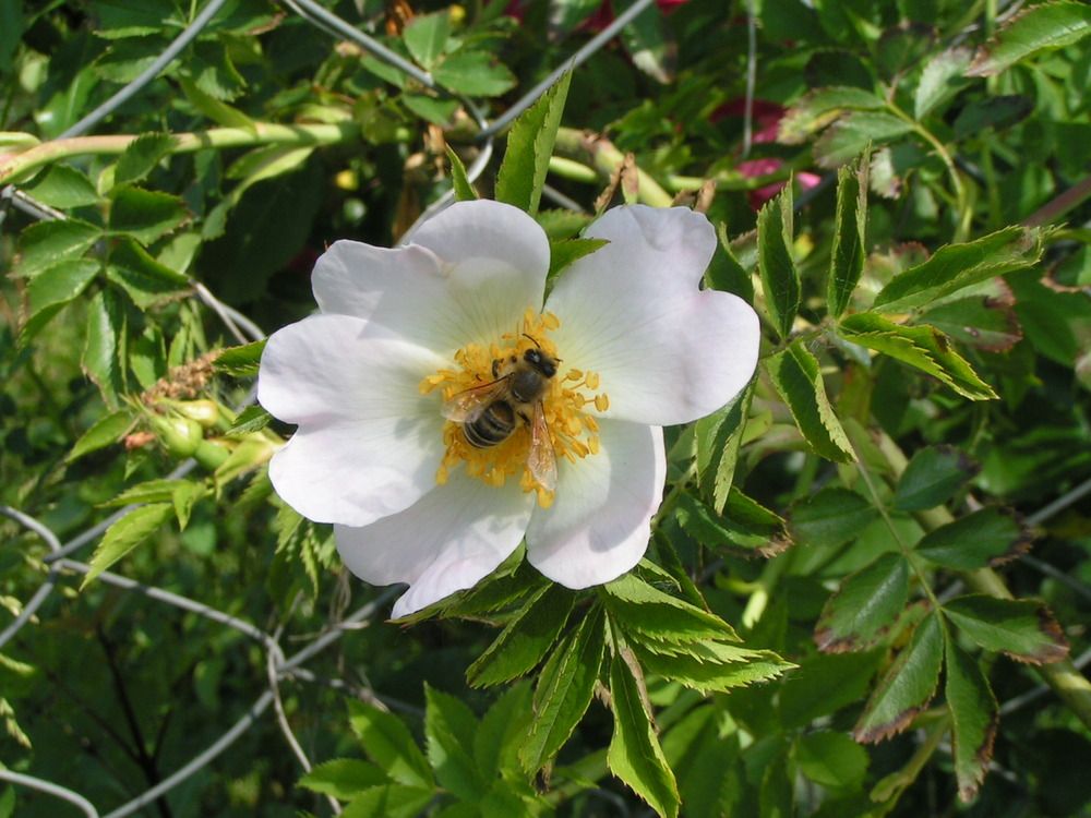 Фотография автора Dubravko Maricic