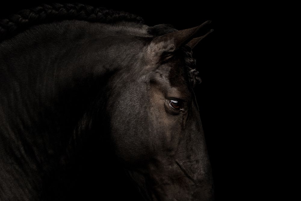 Photograph by Jettie Roest