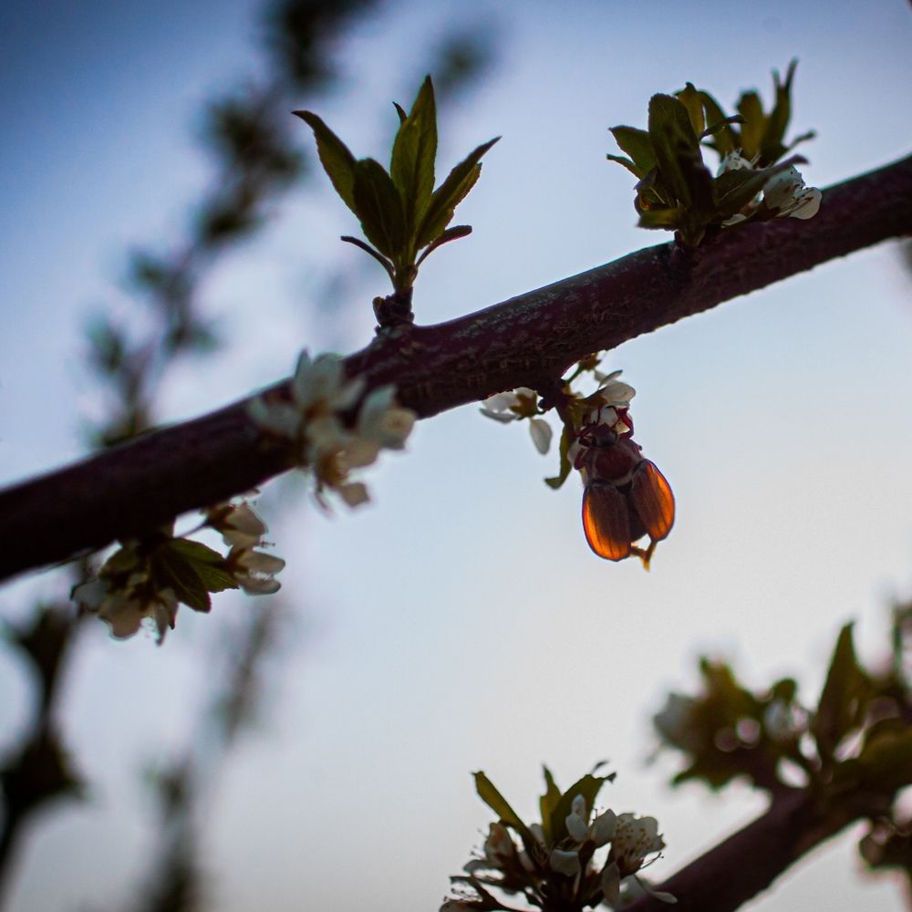 Photograph by Юлия Фомина