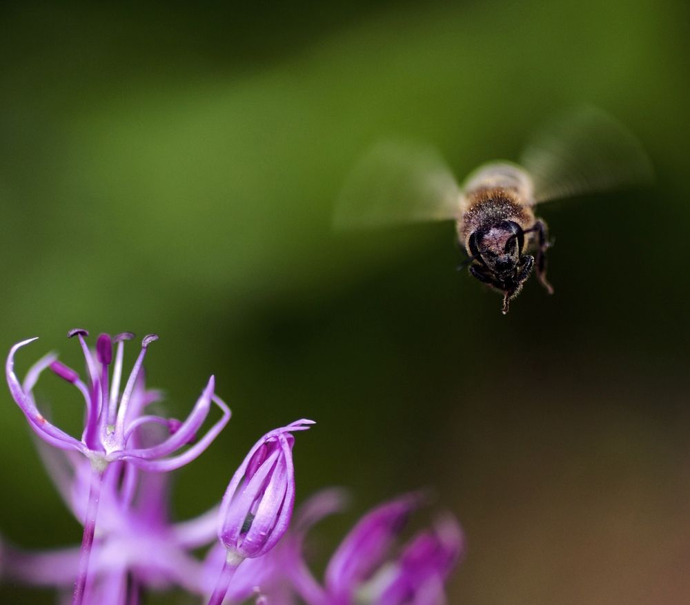Photograph by Юлия Фомина