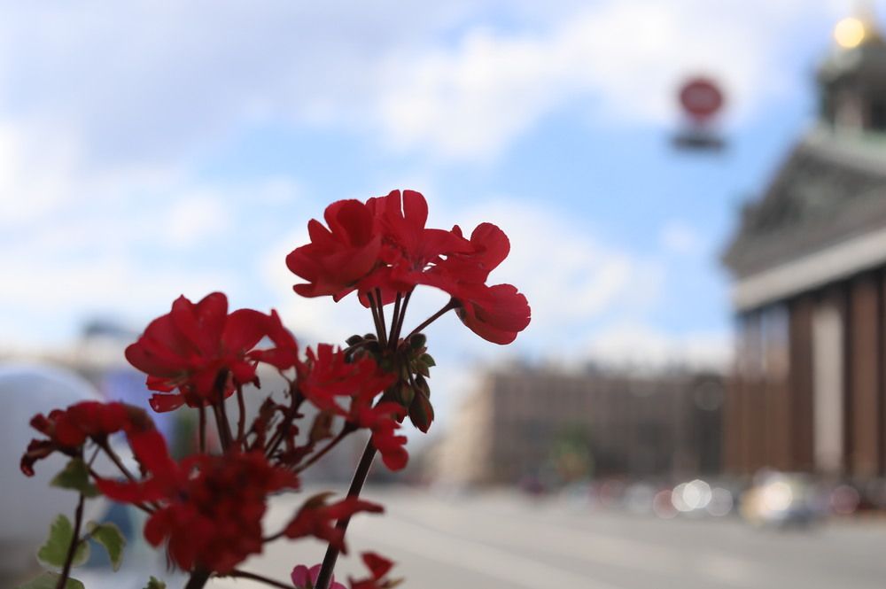 Photograph by Наталья Ананьева