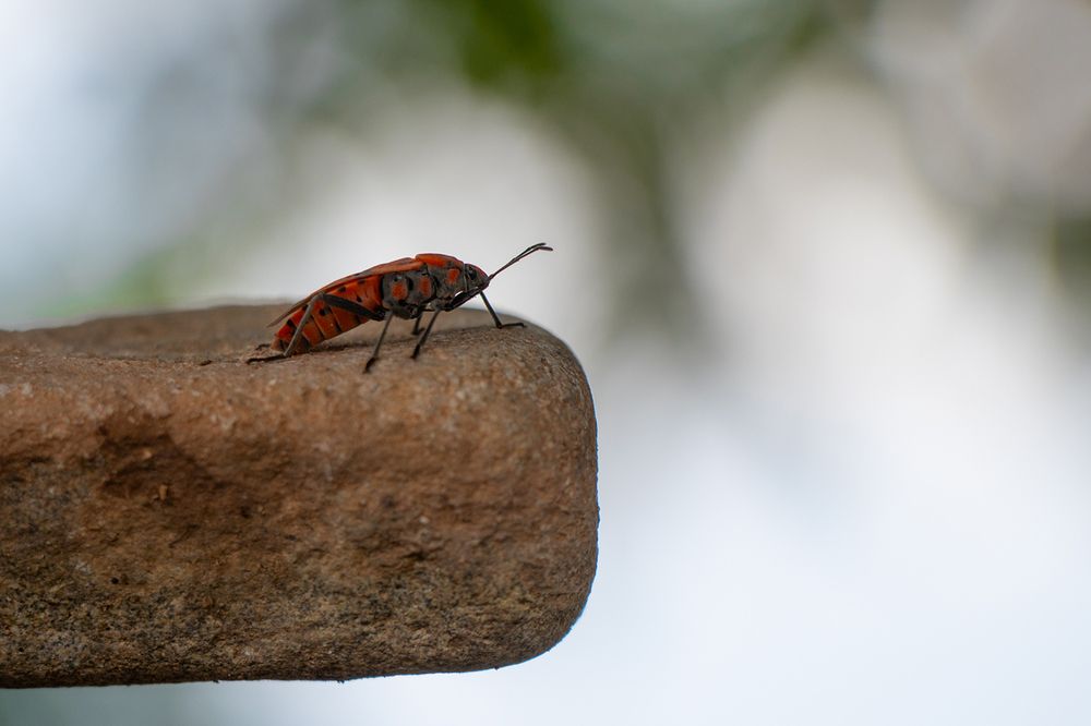 Photograph by samira sarayani