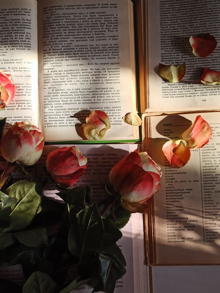 Photograph by АЛЛА ТАРАСЕНКО