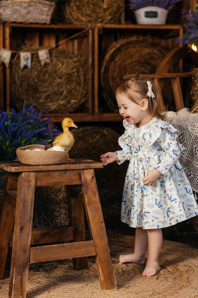 Фотография автора Светлана Шведова