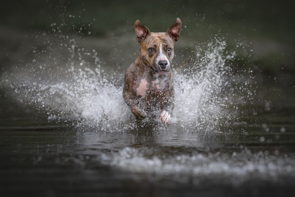 Photograph by Lucie Nermuťová