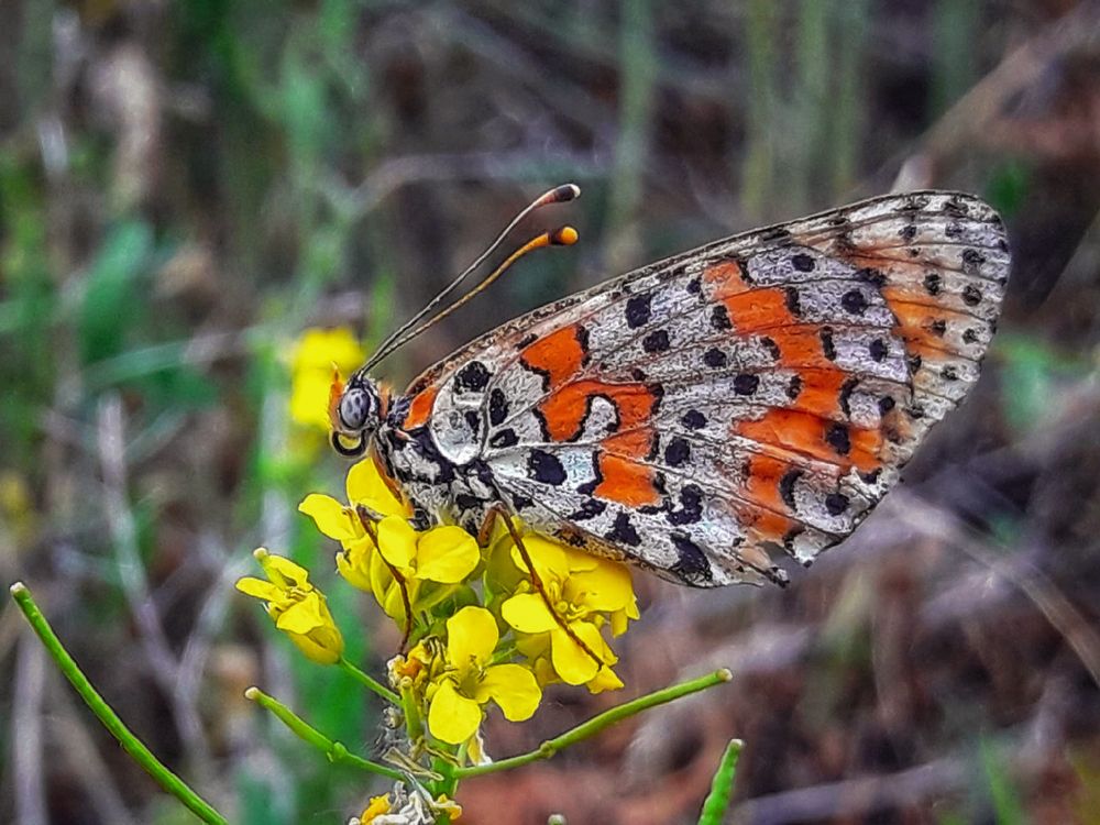 Photograph by Марина Мальцева