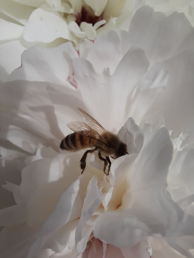 Photograph by Sonia Crotta