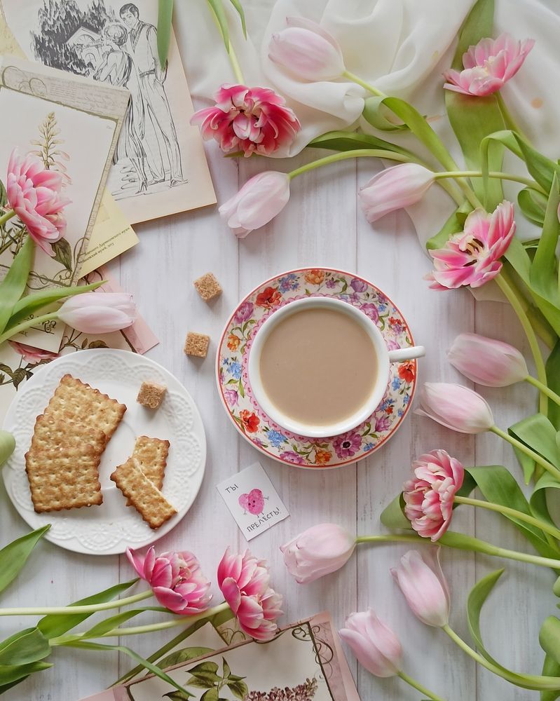 Photograph by Елена Черняк