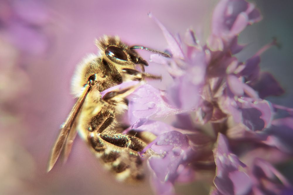 Photograph by Колесникова Татьяна