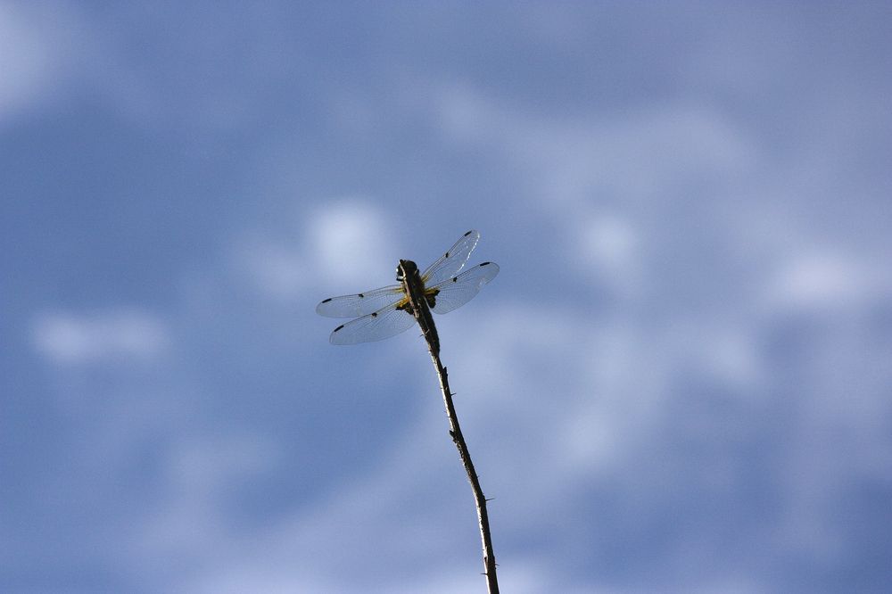 Photograph by Мария Самоловова