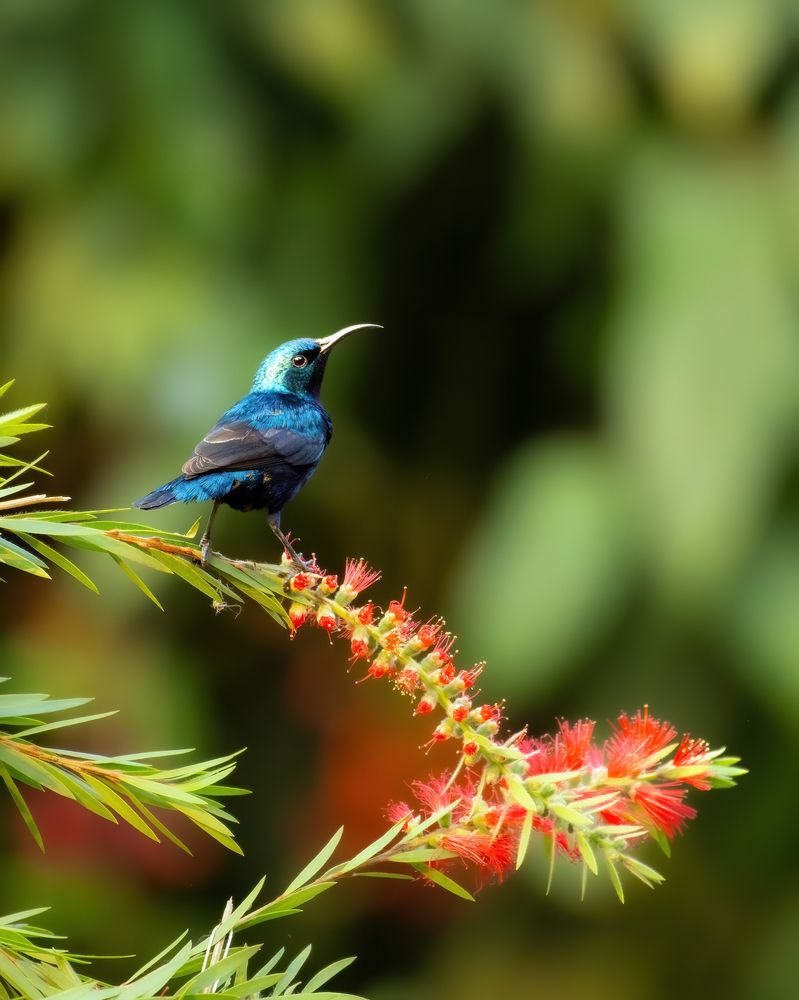 Photograph by Binod Das