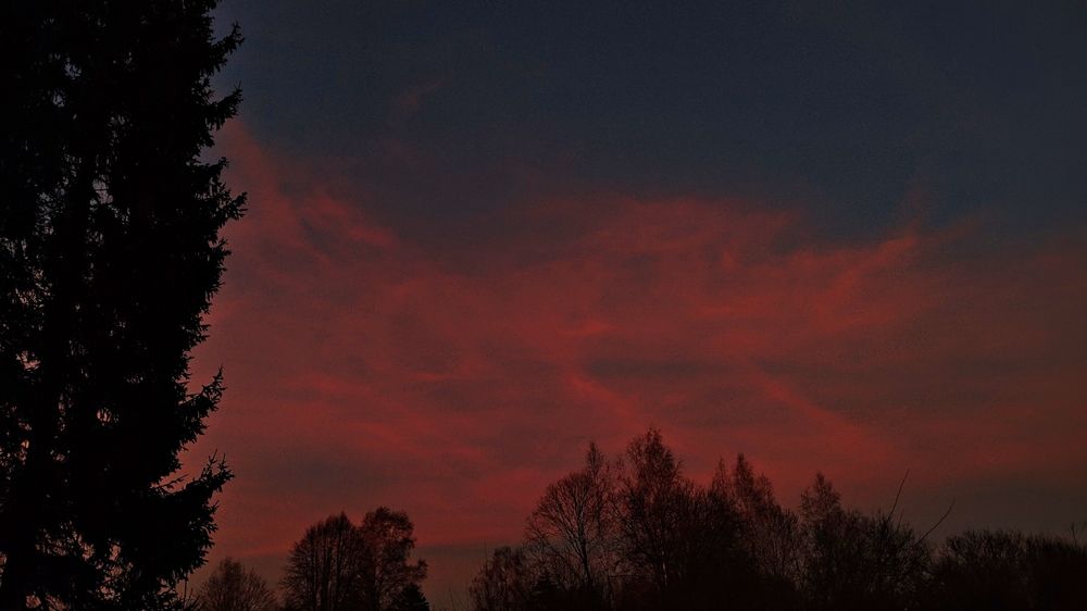 Photograph by Дарья Ермакова