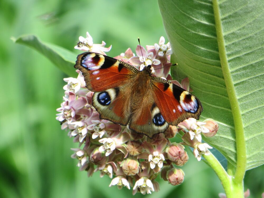 Photograph by Татьяна Поминова