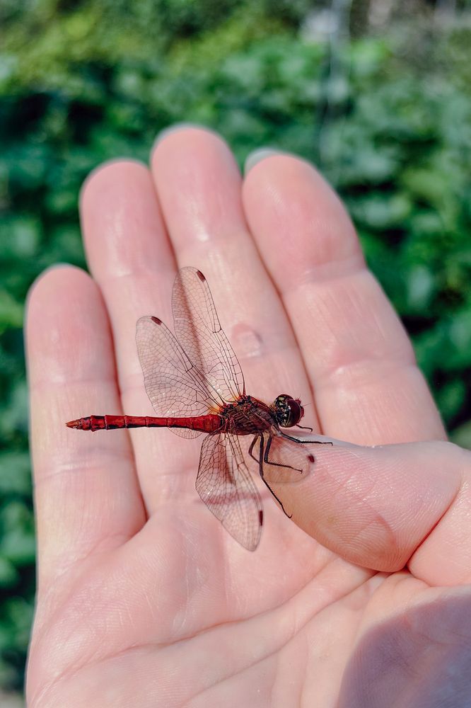 Photograph by Елена Алексеева