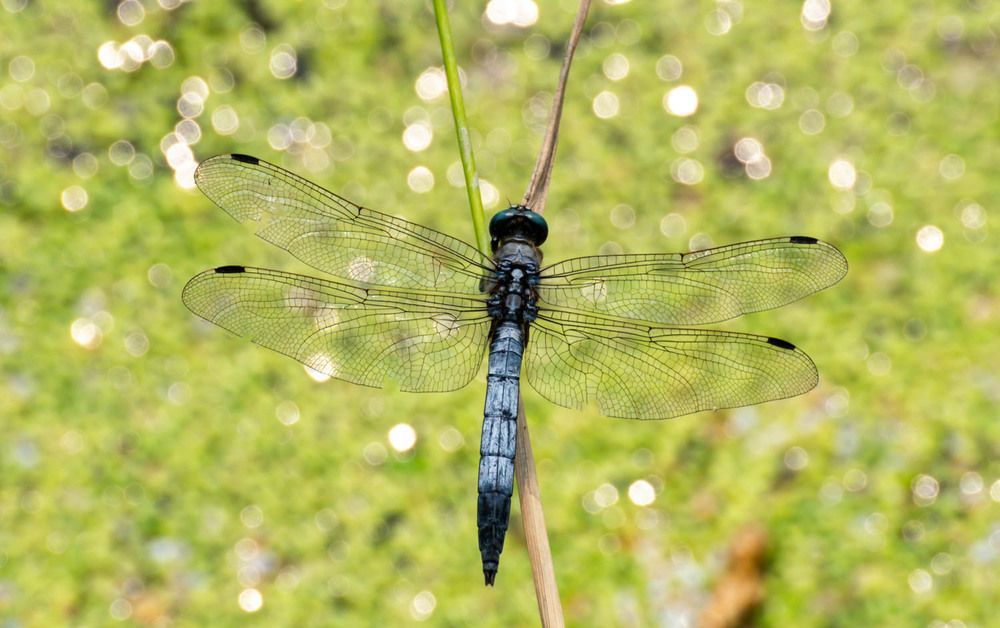 Photograph by Myunggyu Bae