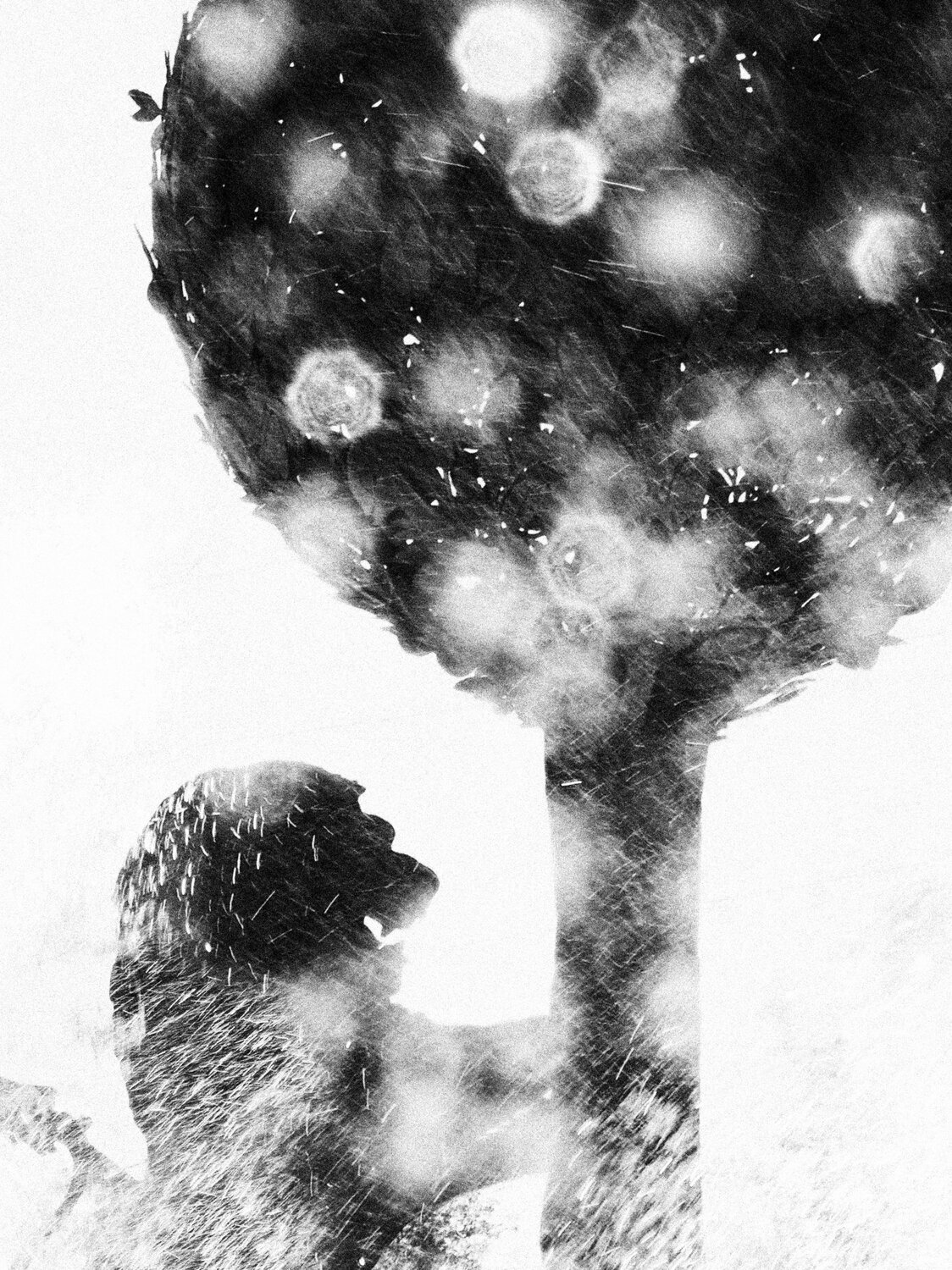 Photo #12080924