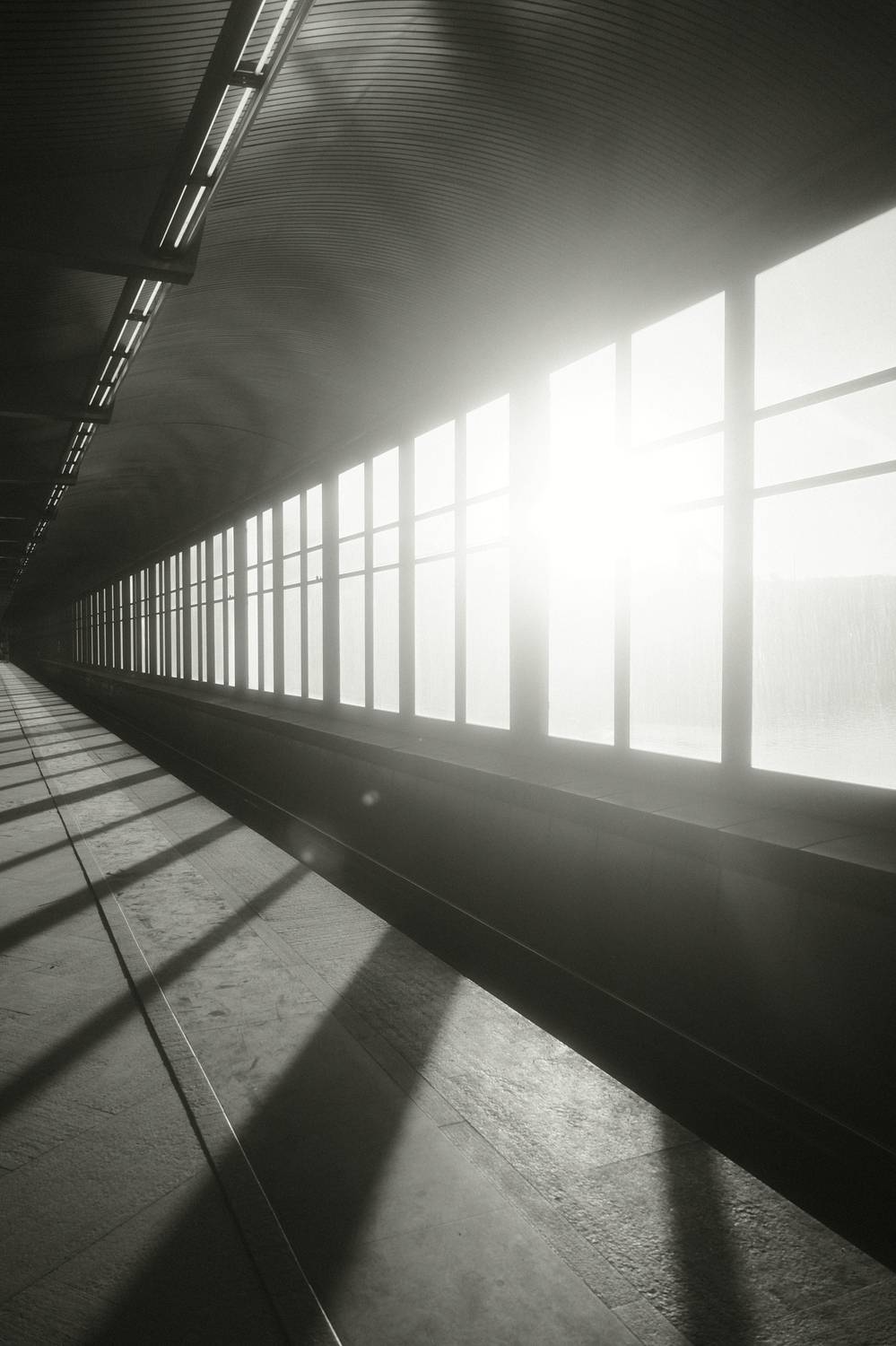 Photo #12080967