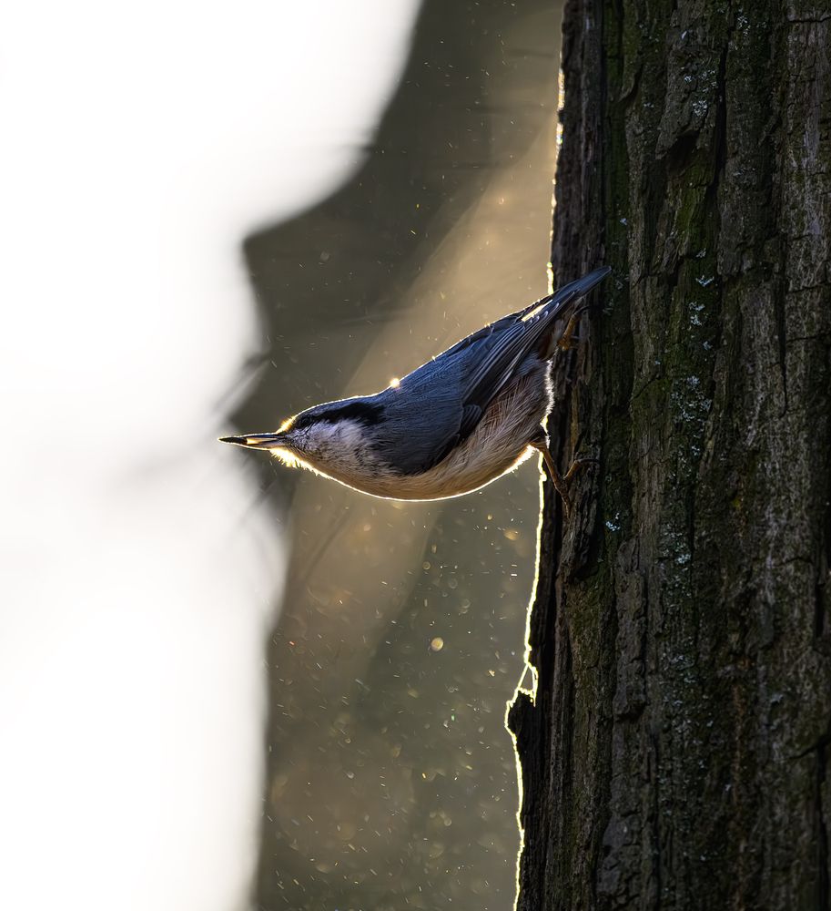 Photograph by Мария Ирешева