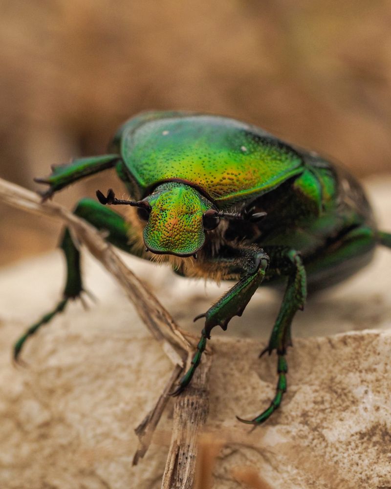 Photograph by Лейла Прощина