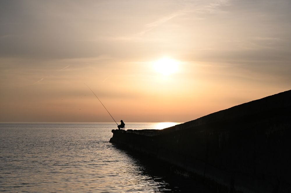 Фотография автора Роман Прохоров