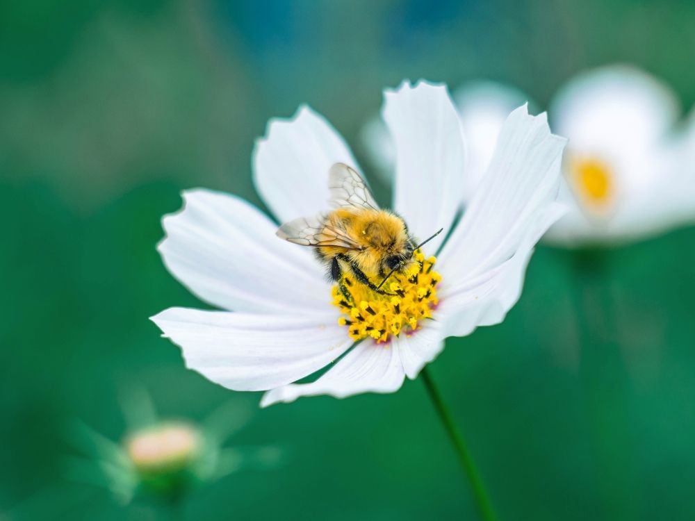 Photograph by Людмила Прибылова