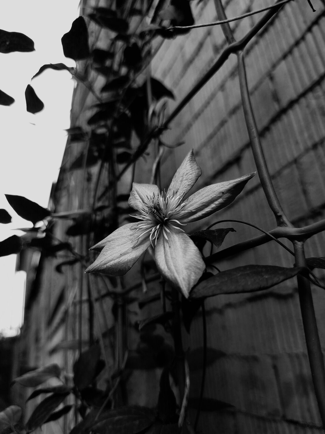 Photo #12081054