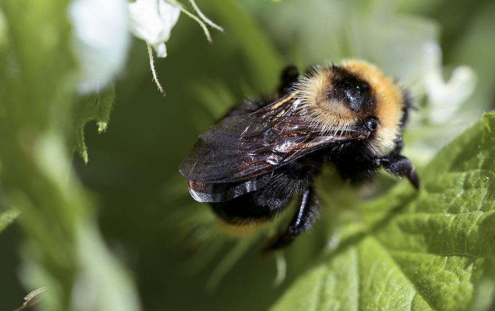 Photograph by Мария Ирешева